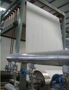 Spunbond Polyester Mat for APP/SBS Waterproofing Membrane Production