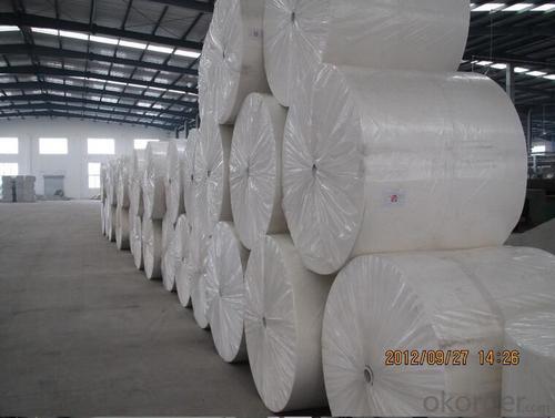 Nonwoven Polyester Mat of Staple Fiber Filament System 1