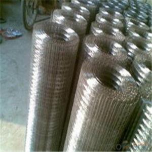 Hot-Dipped Galvanized Mesh Hardware Cloth with Construction Quliaty