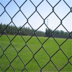 PVC Coated Chain Link Fence Mesh with Multipurpose System 1