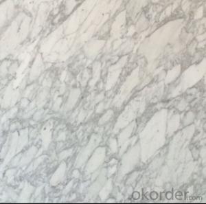 White Marble Slabs and Tiles with Cheap Price from Factory