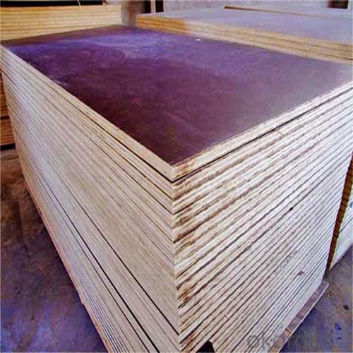 ZNSJ  bamboo wood composite board for container floor China supplier System 1