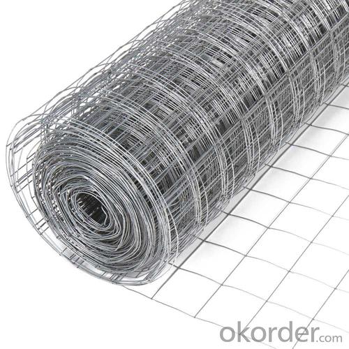 Galvanized Welded Wire Mesh Roll with Different Sizes System 1