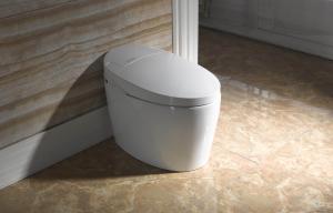 Efficiency Toilet  2380B no water tank Front Cleaning