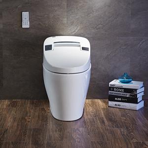 Efficiency Toilet  1280 Mobile drying Massage cleaning