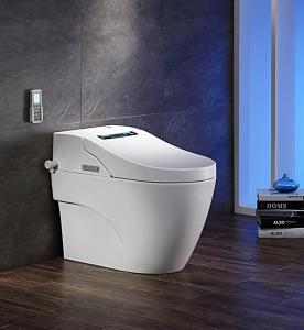 Efficiency Toilet  3100 Warm wind adjustment Massage cleaning System 1