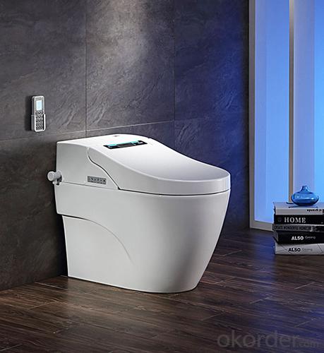 Efficiency Toilet  3100 Warm wind adjustment Massage cleaning System 1