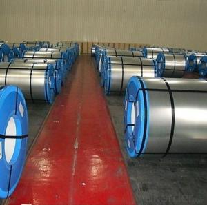Hot Rolled A36, Steel Plates SS400,Steel Coils,Made in China System 1
