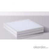 HIgh Uniformity LED Panel Light  Energy Saving