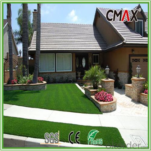 IBIZA-25 Popular Artificial Grass for House Decorating with International certificates System 1