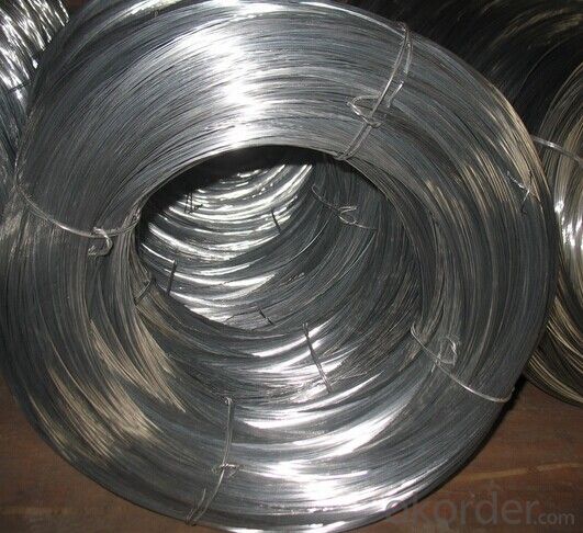 Electro Galvanized Binding Wire in Competitive Price And High Quality