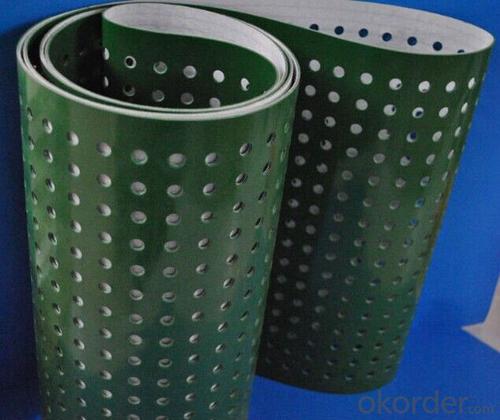 Green PVC Conveyor Belt with Punching Hole System 1