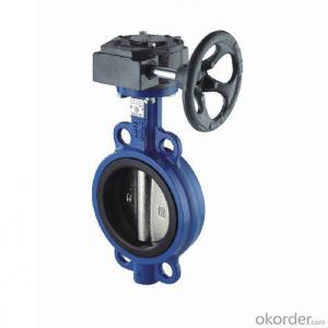 Butterfly Valve  The Pin Spline or Square Connection China System 1
