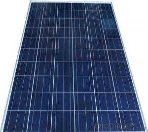CE and TUV Approved 245W Poly Solar Panel