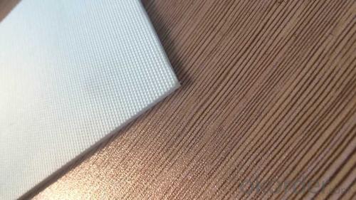 1.8mm Double Sided Polyester PVC Conveyor Belt System 1