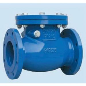 CHECK VALVE SWING DUCTILE IRON/ WCB DN40- DN600