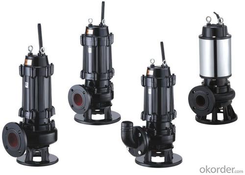 Dirty Water Electric Centrifugal Submersible Sewage Pump System 1