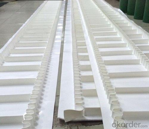 Custom Made PVC/PU Cleat Conveyor Belt With Sidewall System 1