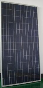 230-250W PV Polycrystaline Solar Moduels 12V & 24V