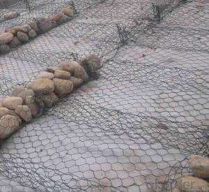 Welded and Galvanized, PVC Coated Wire Mesh Gabion Box System 1