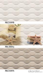 Kuwait market  ceramic wall tiles /new styles 300*600mm System 1
