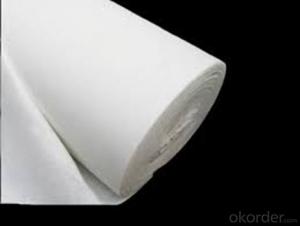 Polyester  Staple Fiber Nonwoven Geotextile Fabric for Road Construction System 1