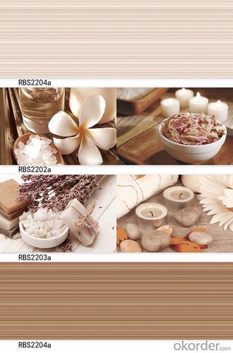 Multifunctinal interior ceramic wall tiles System 1