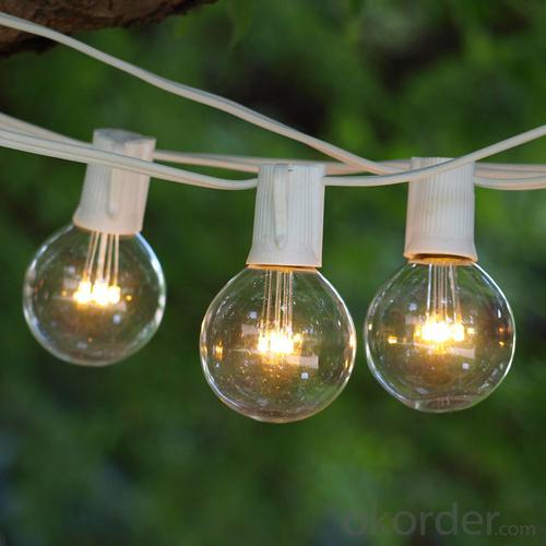 G50 Patio Globe String Lights with 25 Bulbs for Outdoor String Lighting (Black Wire) System 1