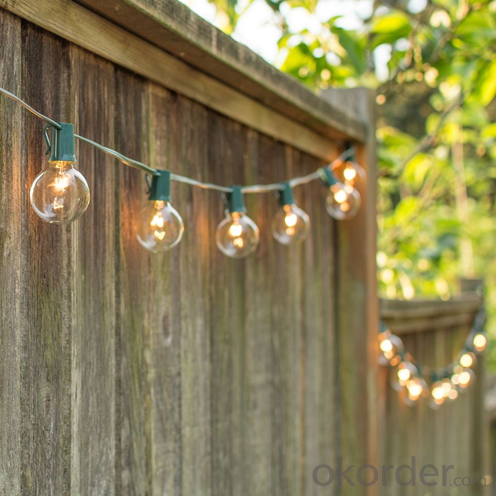 G50 Patio Globe String Lights with Clear Bulbs for Outdoor String Lighting (Black Wire)
