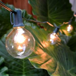 G50 Patio Globe String Lights with 25 Bulbs for Outdoor Decoration(Black Wire)