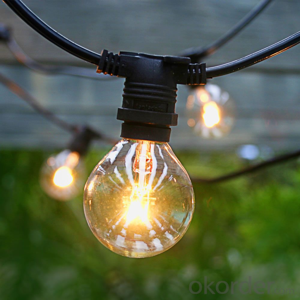 G50 Patio Globe String Lights with 25 Bulbs for Decoration (Black Wire)