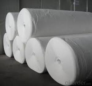 Non-woven Geotextile wIith 2-6 Meters Width Short Fiber Needle-punched System 1