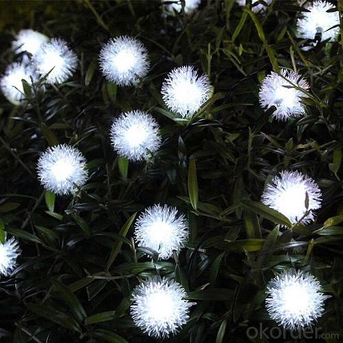 LED String Light with Artificial Dandelion Flower System 1