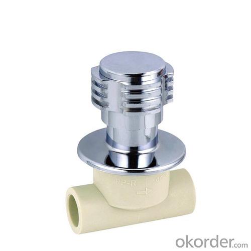 Pond Plastic Pipe Fittings - PP-R Concealed Porcelain Core Valve with SPT Brand System 1