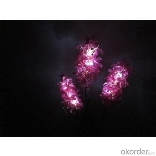 Solar Flower Light Solar Hyacinth Led Solar Flower Light for Garden Decoration System 1