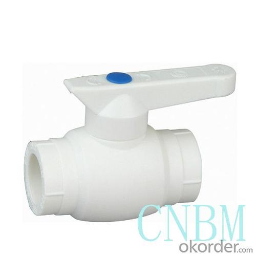 Plastic Pipe Adapter Fittings PPR Ball Valve for Industrial and Agricultural Fields Made in China Professional System 1