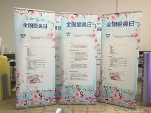 BST1-4 80*200CM roll up banner stand /pull up banner stand /roll up display stand System 1