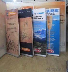 BST1-7 Double sides roll up banner stand /protable roll up banner stand /Adjustable banner stand