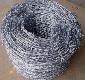 Electro Galvanized Barbed Wire for Fence System 1