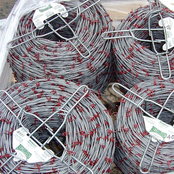 Hot DIP Galvanized /Electric Galvanized /PVC Coated Barbed Wire