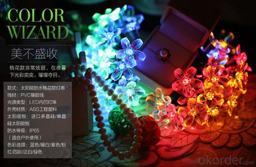 Sakura Solar Light String 200X15cm 5 Meters 20 Lights for Christmas and Party Decoration. System 1