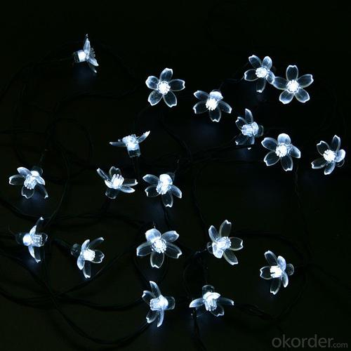 Sakura Solar Light String with 5 Meters 20 Lights for Christmas and Party Decoration. System 1