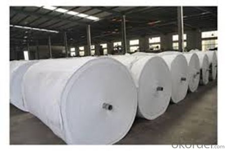 Staple Fiber Needle Punched Non Woven Geotextile Fabric