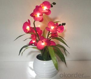 Decorative LED PU Natural Artificial Butterfly Orchid Flower Light System 1