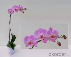 Purple Butterfly Orchid Solar Flower Garden Light System 1