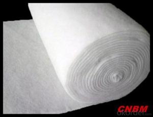 PET/PP Nonwoven Needle Punched Geotextile Fabric from China
