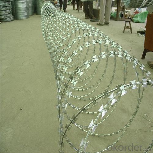 Galvanized Razor Wire Bto-22 in Hotsales System 1