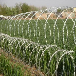 Razor Barbed Wire Hot-Dipped/Electric Galvanized
