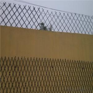Security Fencing Razor Barbed Wire Fence with Factory Price