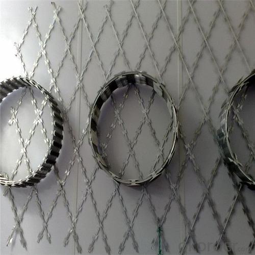 Razor Barbed Wire Hot-Dipped/Electric Galvanized System 1